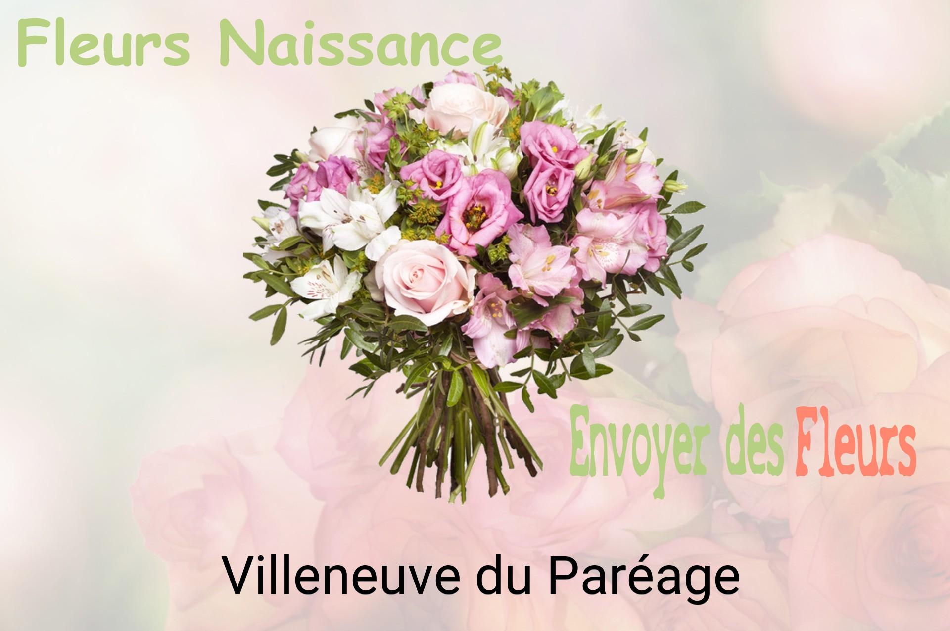 Bouquet de fleurs de naissance livré à Villeneuve-du-Paréage