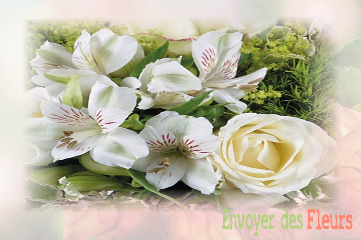 envoyer des fleurs à à VILLENEUVE-DU-PAREAGE