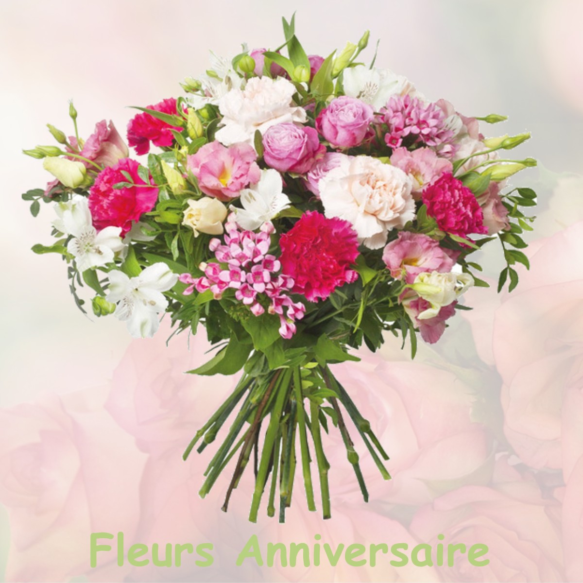 fleurs anniversaire VILLENEUVE-DU-PAREAGE
